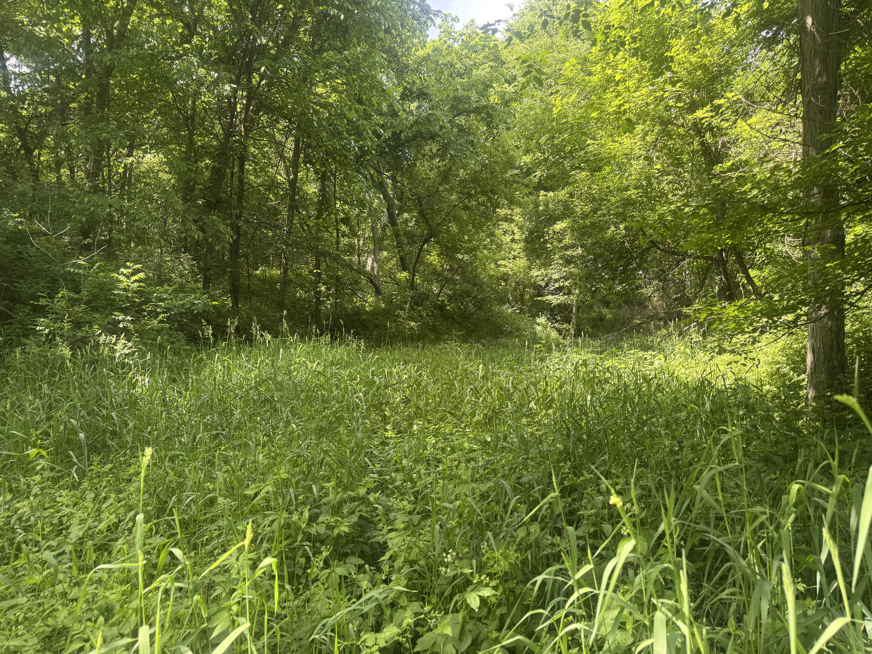 0 County Rd JJ Arcadia WI 54612 1965609 image29