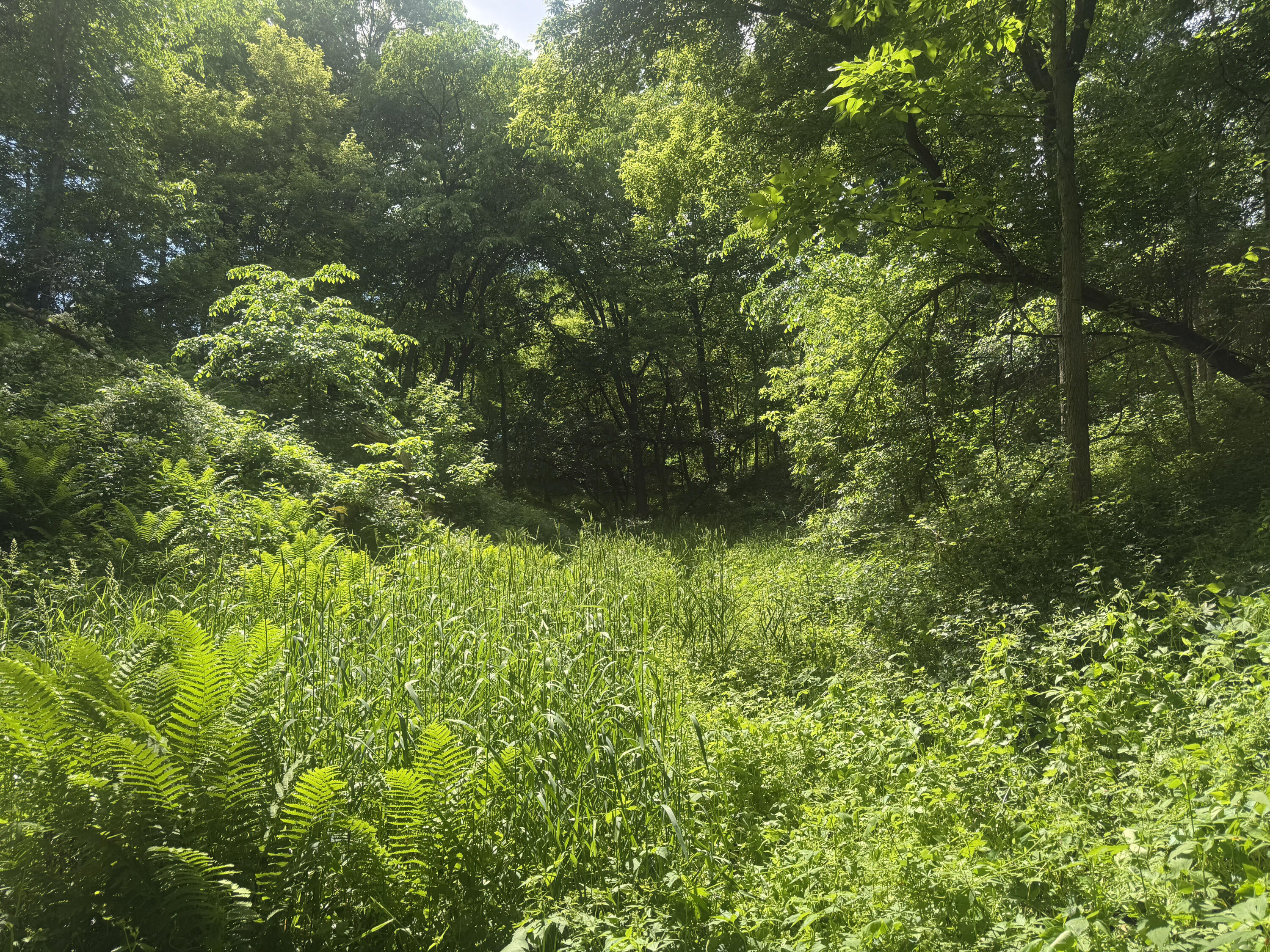 0 County Rd JJ Arcadia WI 54612 1965609 image31