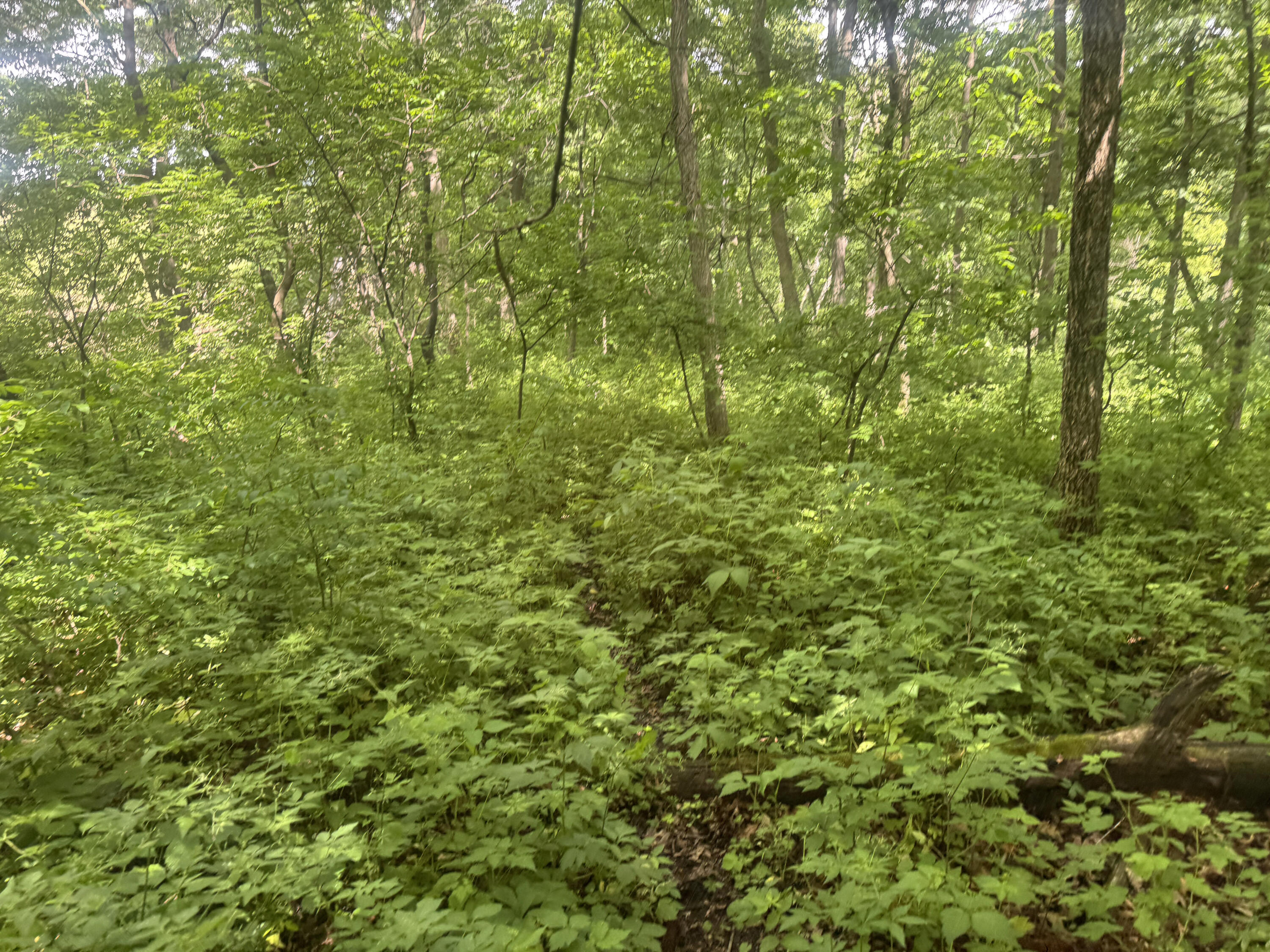 0 County Rd JJ Arcadia WI 54612 1965609 image33