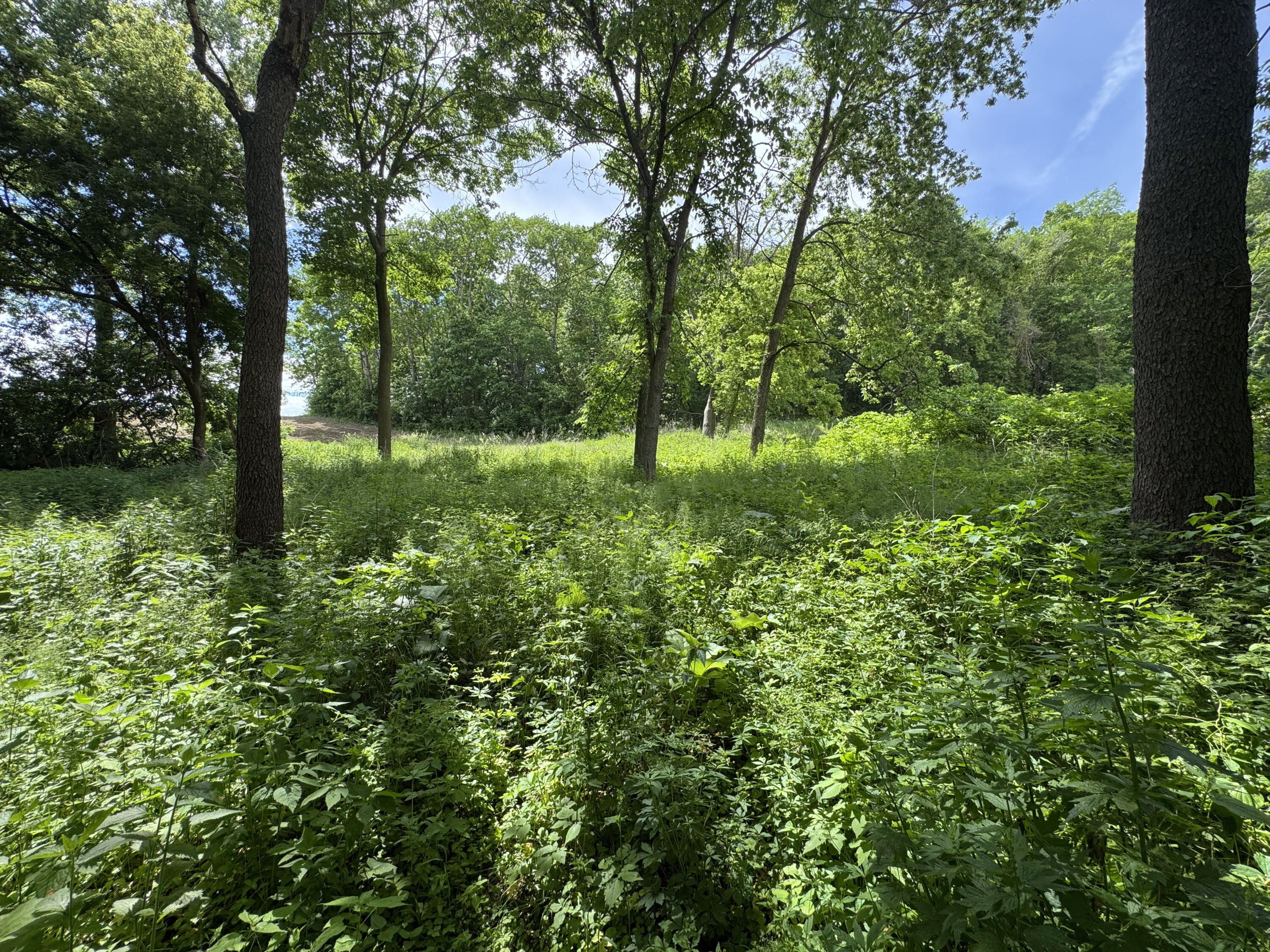 0 County Rd JJ Arcadia WI 54612 1965609 image35