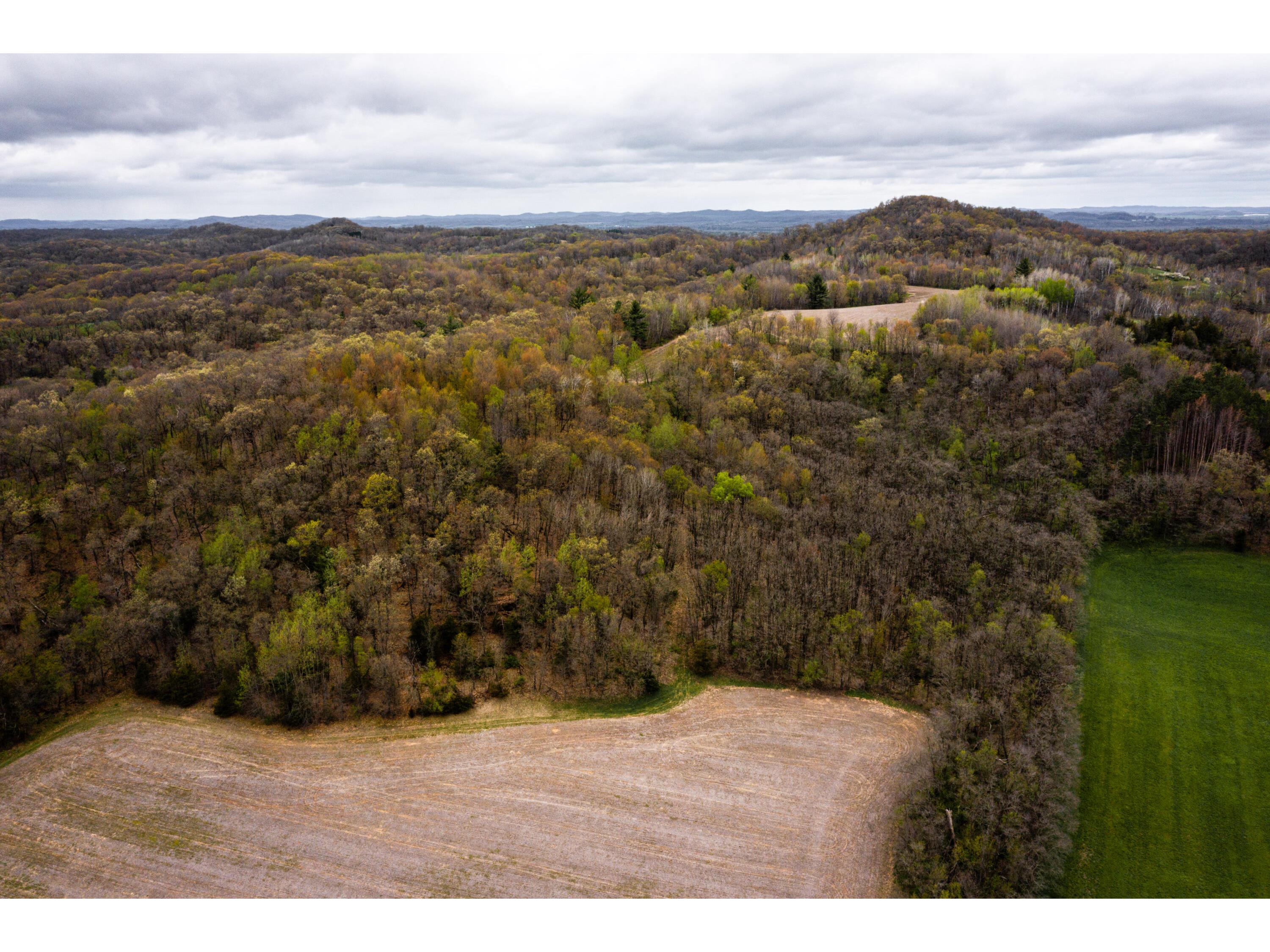 0 County Road T Farmington WI 54644 1873890 image1