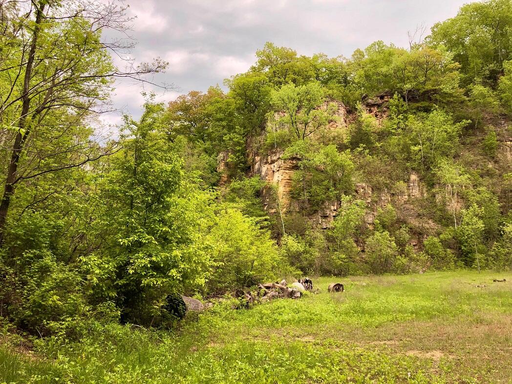 0 East Burns Valley Rd, Wilson, MN, 55987 MLS 1795493 Edina Realty