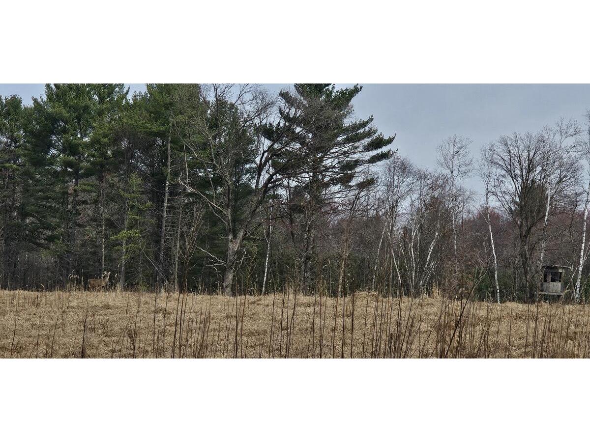 0 Elker Alma WI 54746 1919493 image14