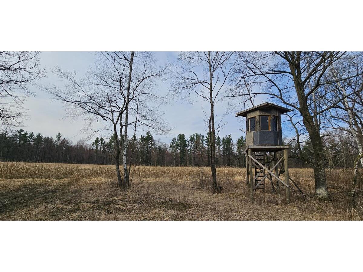 0 Elker Alma WI 54746 1919493 image16