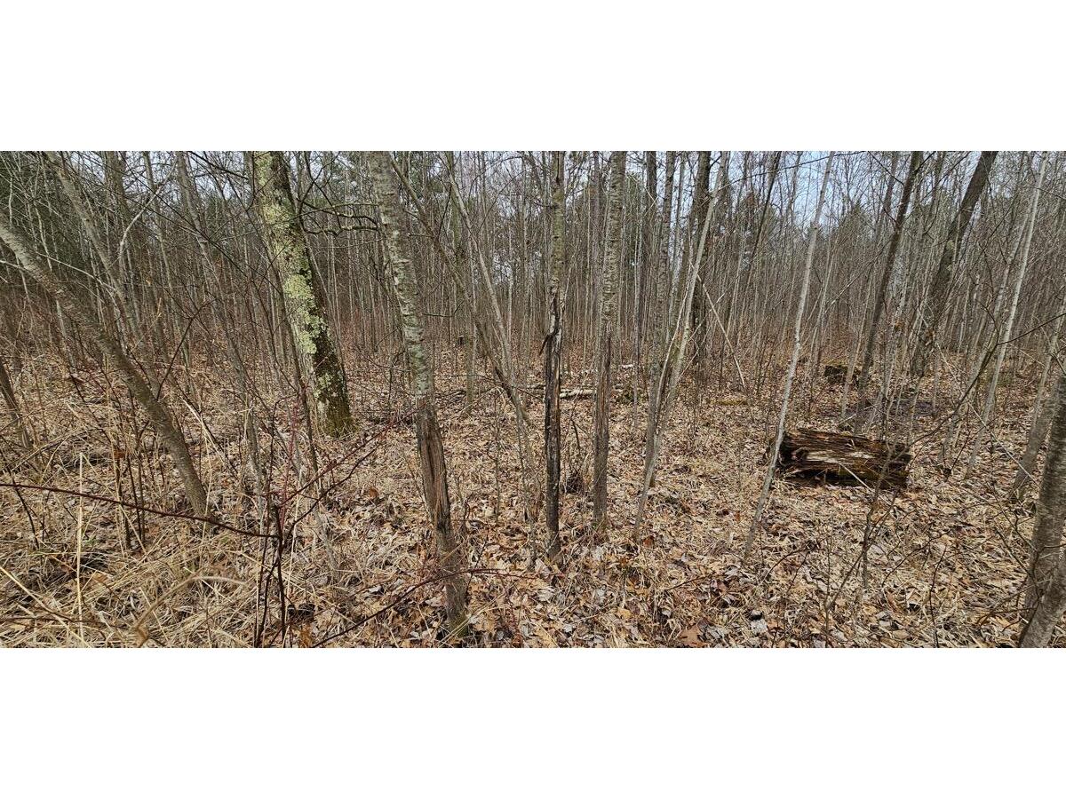 0 Elker Alma WI 54746 1919493 image18