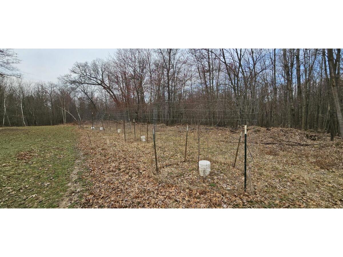 0 Elker Alma WI 54746 1919493 image22