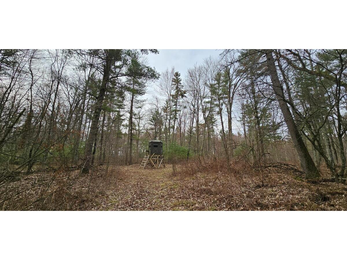 0 Elker Alma WI 54746 1919493 image23