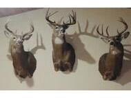 0 Elker Alma WI 54746 1919493 image26