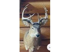 0 Elker Alma WI 54746 1919493 image27