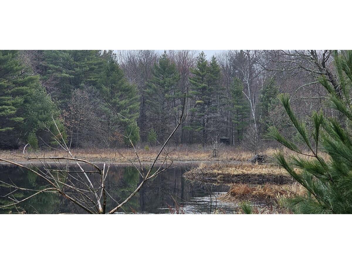 0 Elker Alma WI 54746 1925432 image1