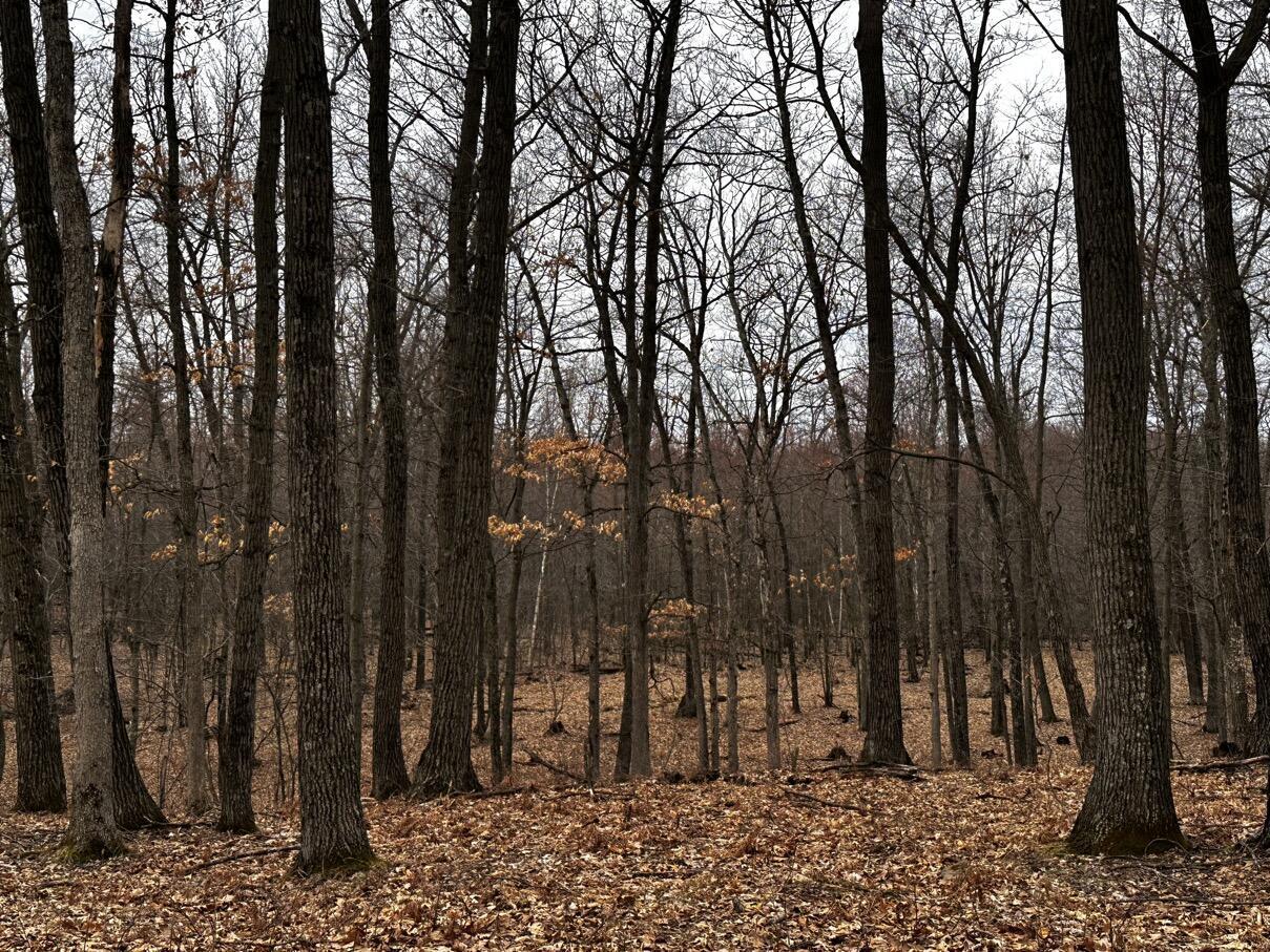 0 Elker Alma WI 54746 1925432 image15