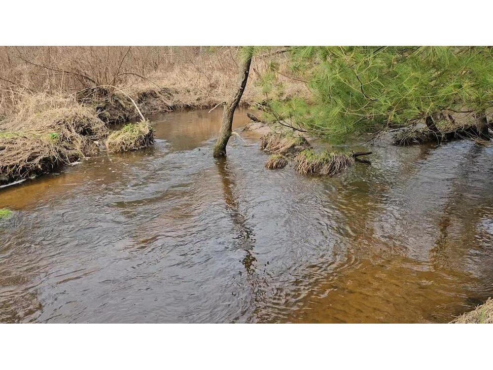 0 Elker Alma WI 54746 1925432 image16