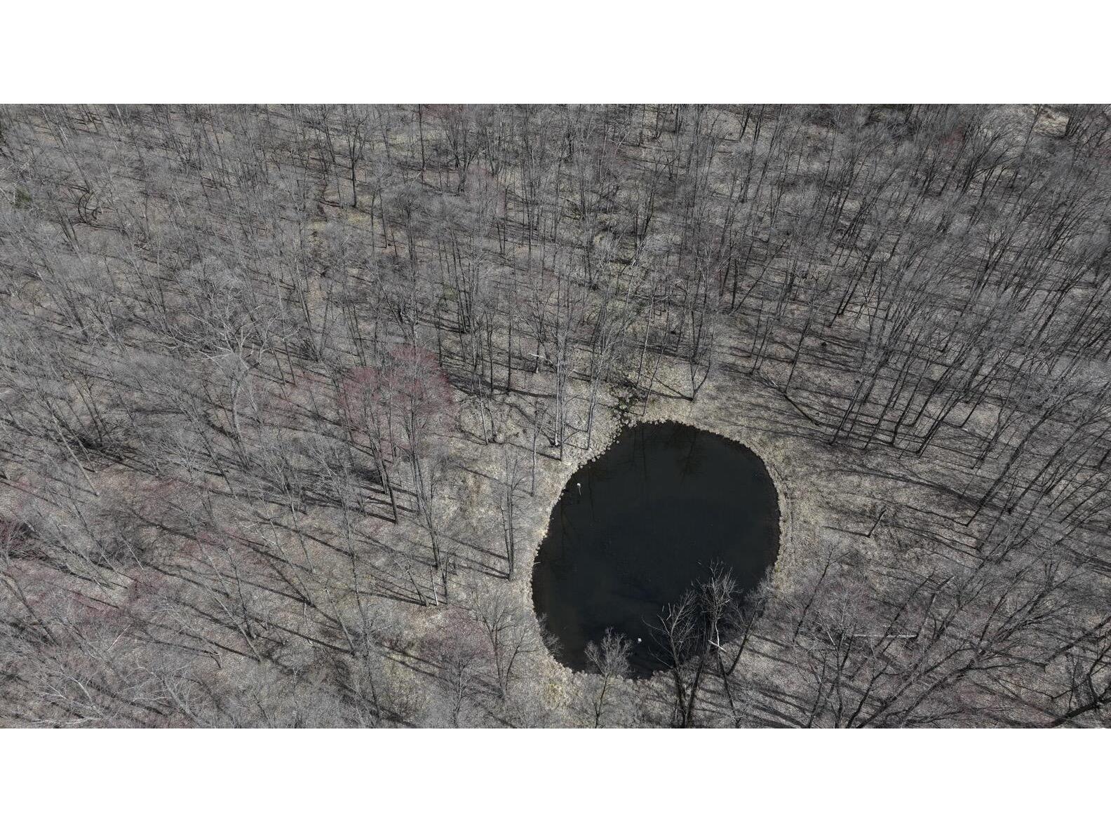 0 Elker Alma WI 54746 1925432 image4