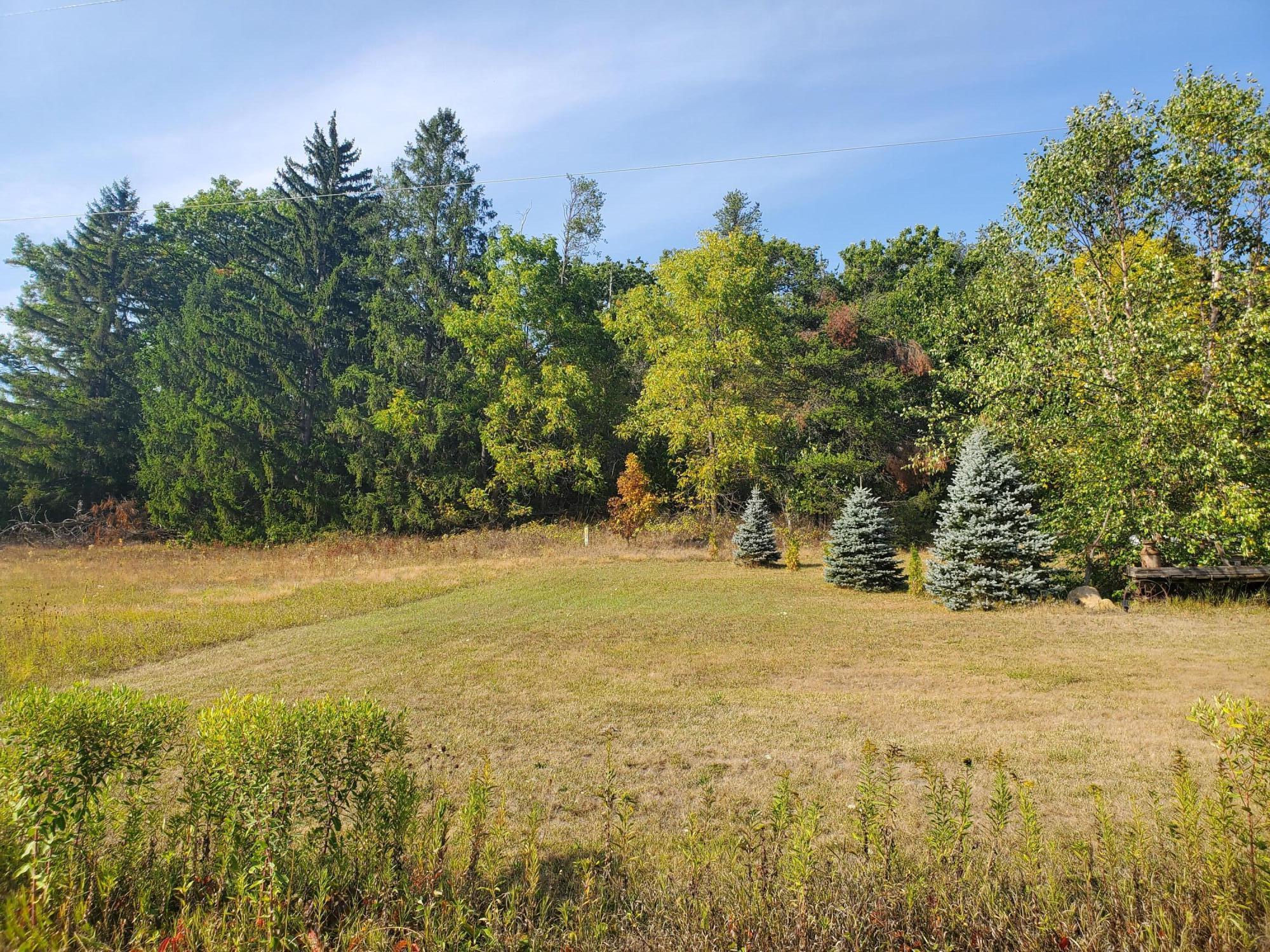 0 Festival Sparta WI 54656 1851122 image1