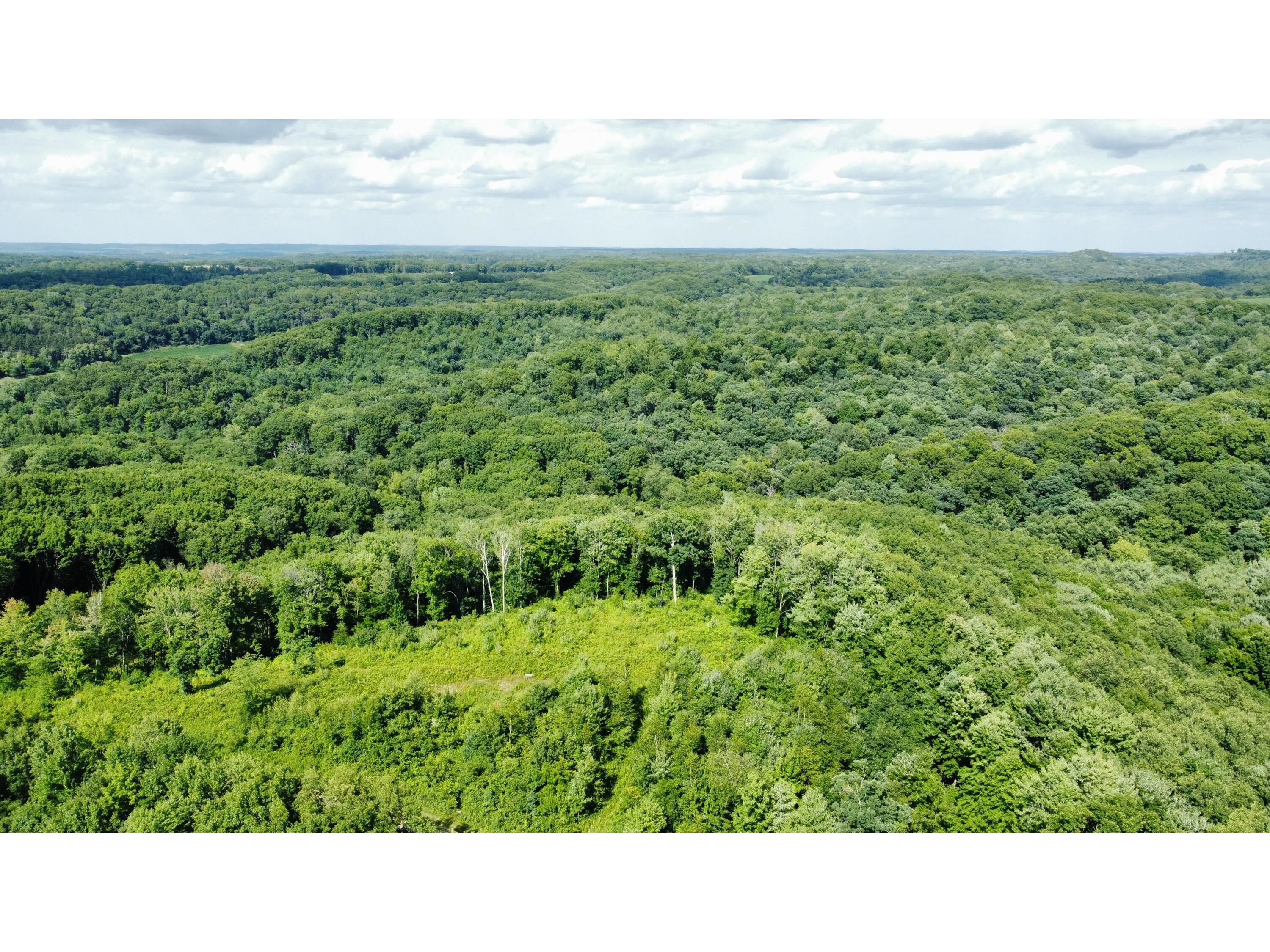 0 Fitch Coulee Pigeon WI 54773 1843850 image1