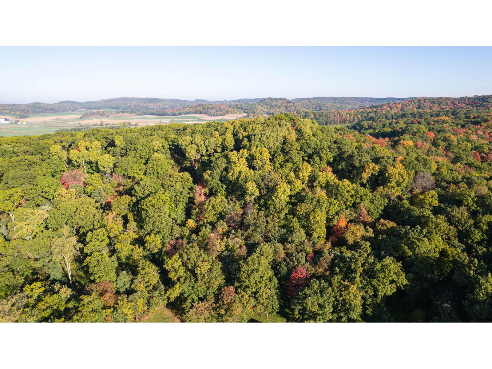 0 Flavone Greenfield WI 54660 1863930 image1