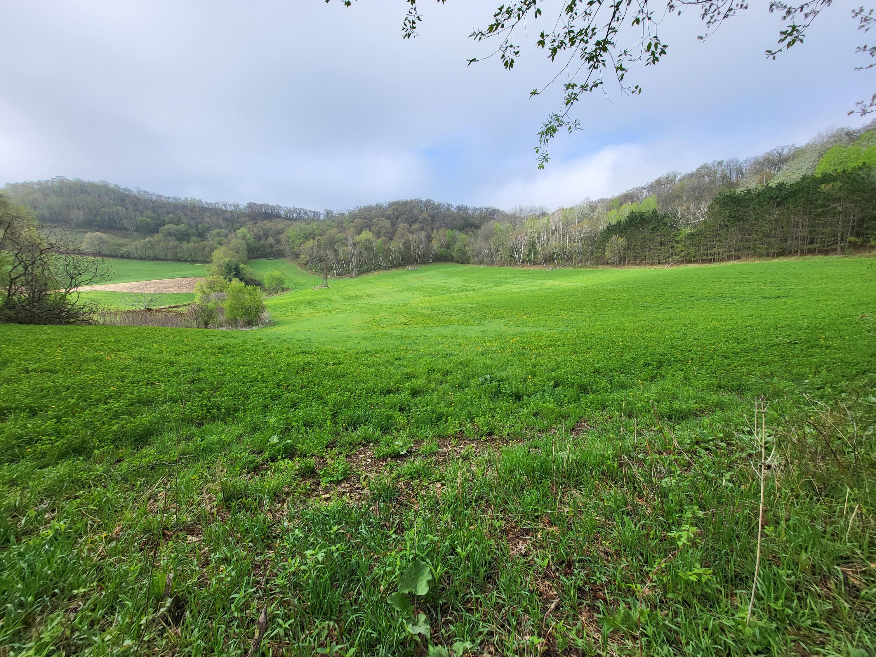 0 Flo Ger Glencoe WI 54612 1835234 image1