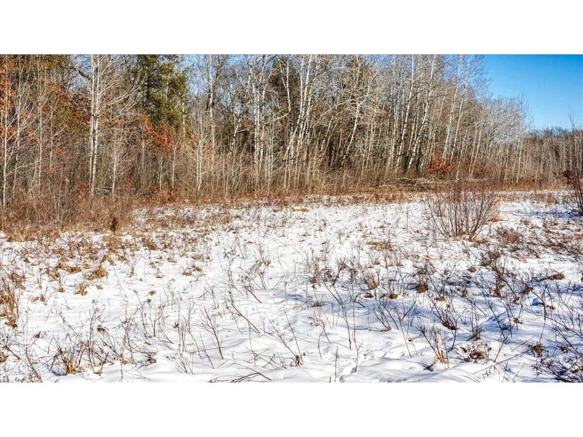 0 Grapevine Tomah WI 54660 1949120 image14