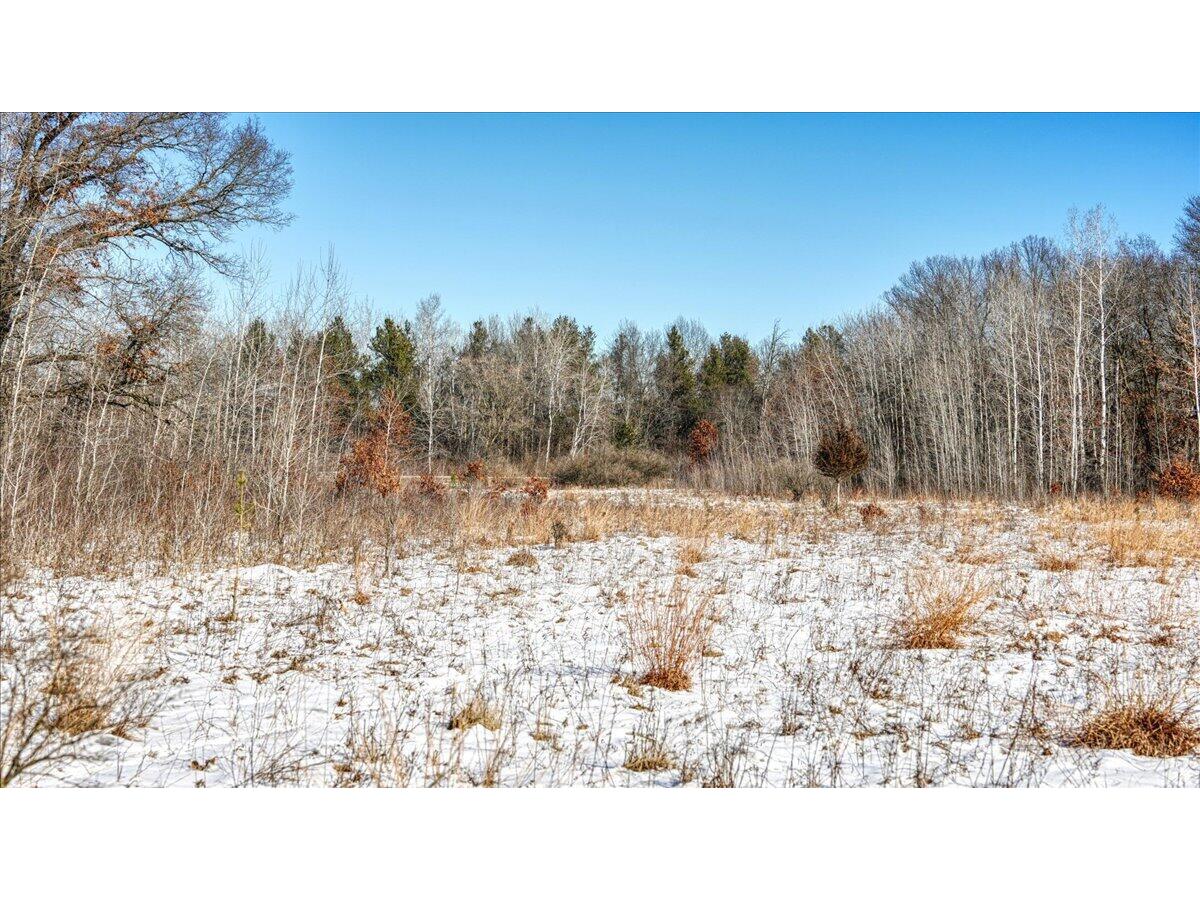 0 Grapevine Tomah WI 54660 1949120 image15
