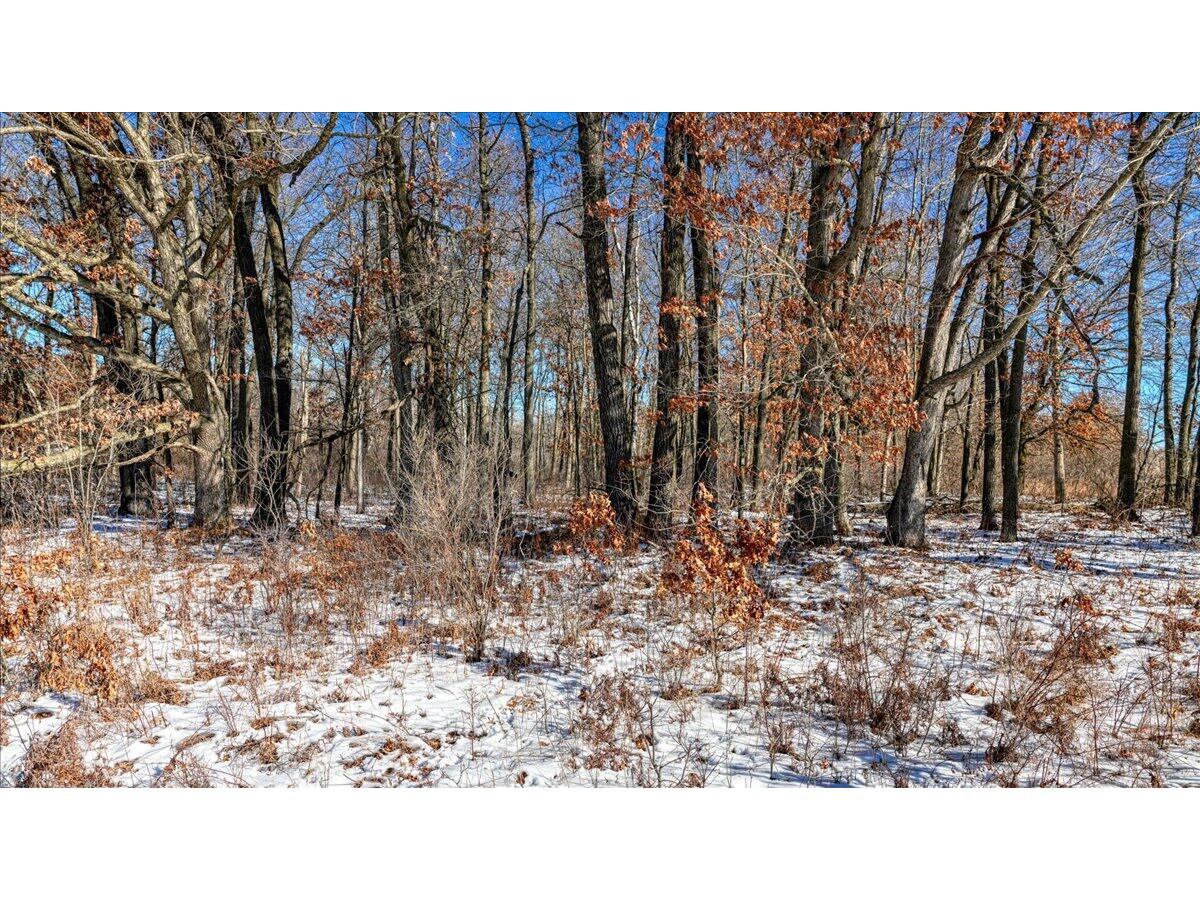 0 Grapevine Tomah WI 54660 1949120 image16