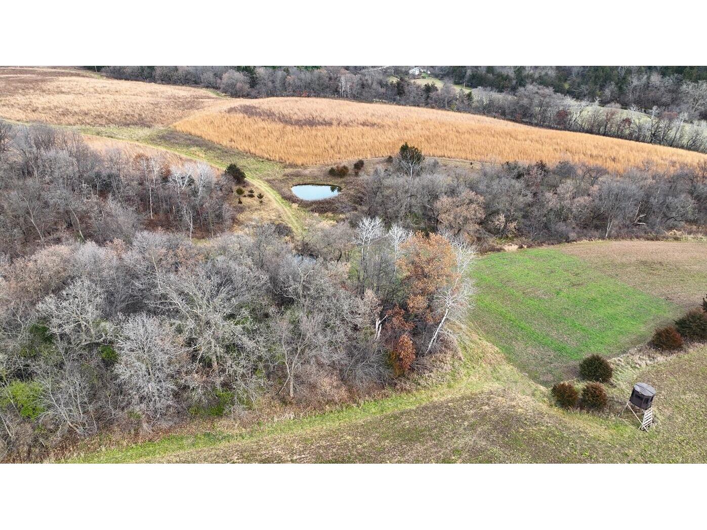 0 Gunflint Rd, Chatfield, MN 55923 MLS 1818598 Edina Realty