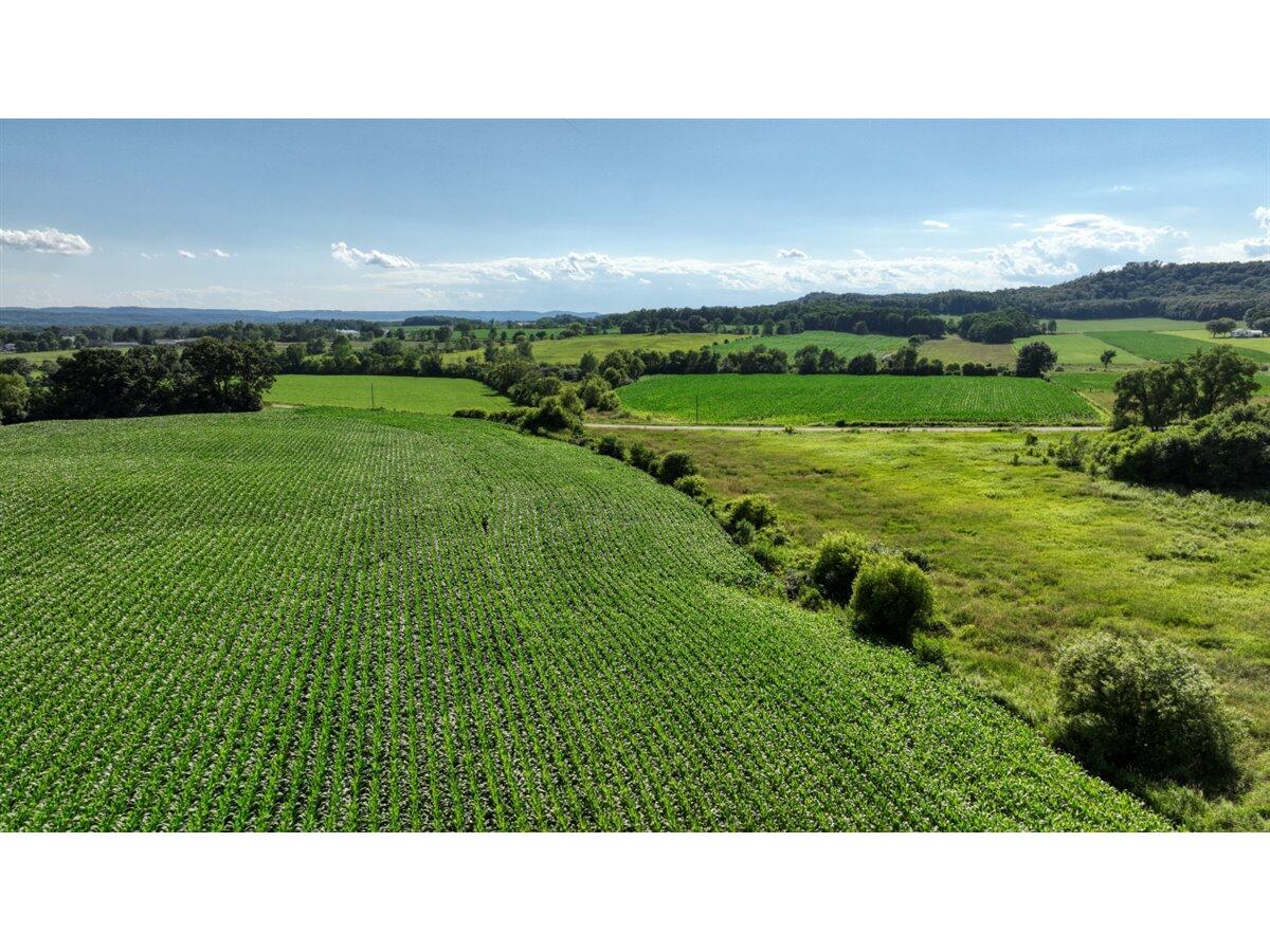 0 Hammer Sparta WI 54656 1926072 image10