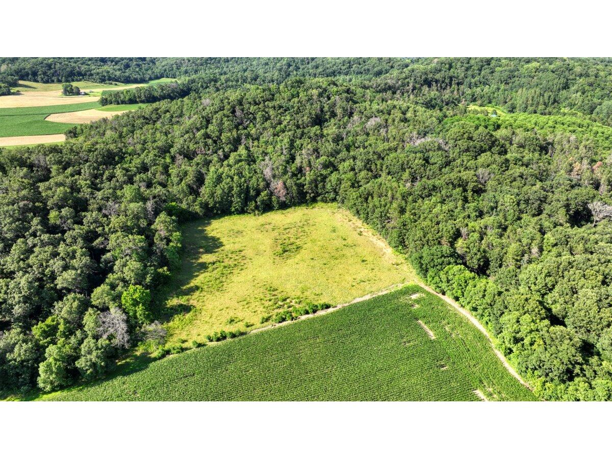 0 Hammer Sparta WI 54656 1926072 image16