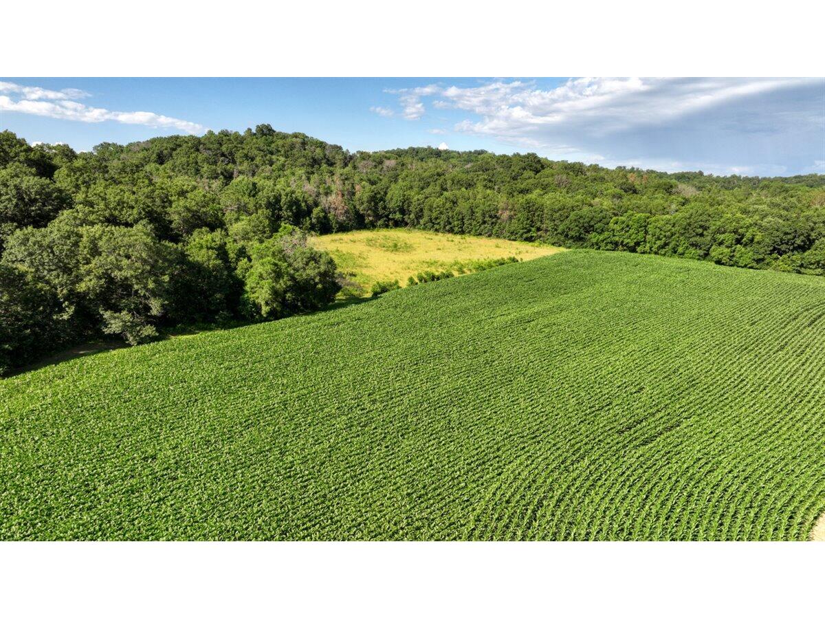 0 Hammer Sparta WI 54656 1926072 image24