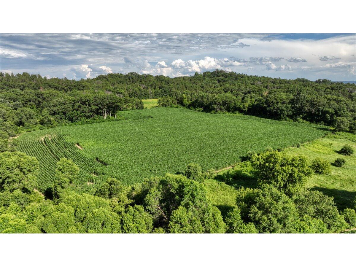 0 Hammer Sparta WI 54656 1926072 image26