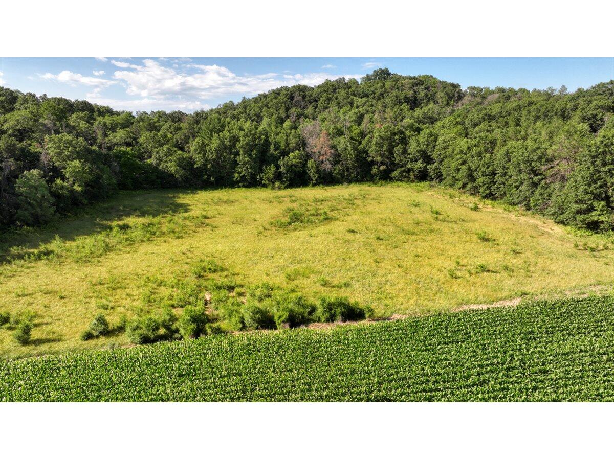 0 Hammer Sparta WI 54656 1926072 image28