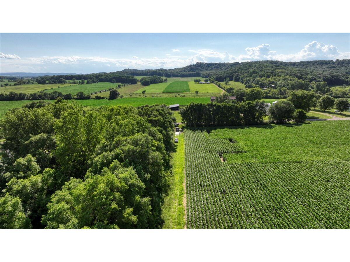 0 Hammer Sparta WI 54656 1926072 image3