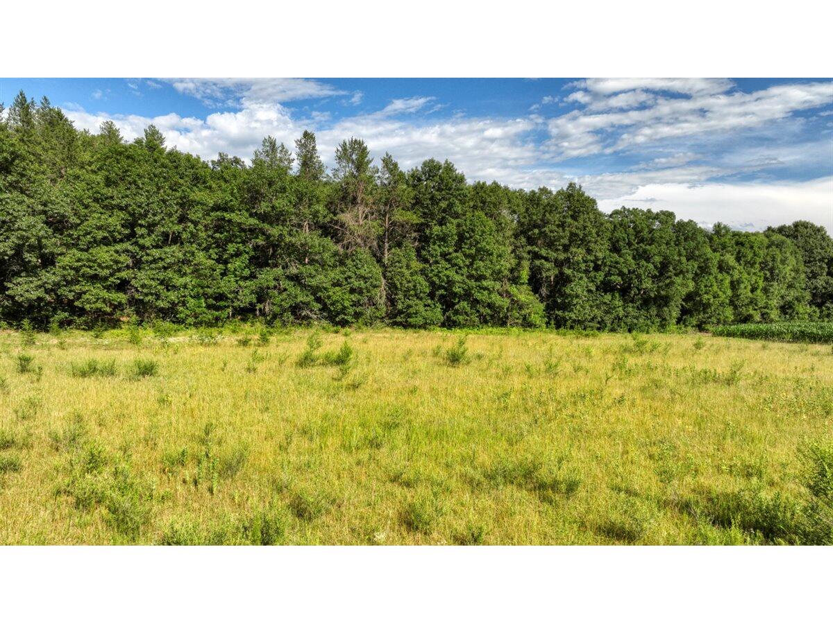 0 Hammer Sparta WI 54656 1926072 image34