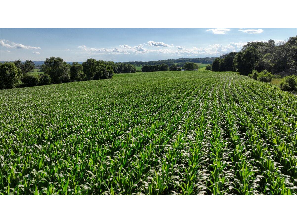 0 Hammer Sparta WI 54656 1926072 image36