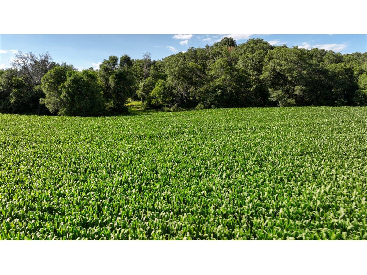 0 Hammer Sparta WI 54656 1926072 image39