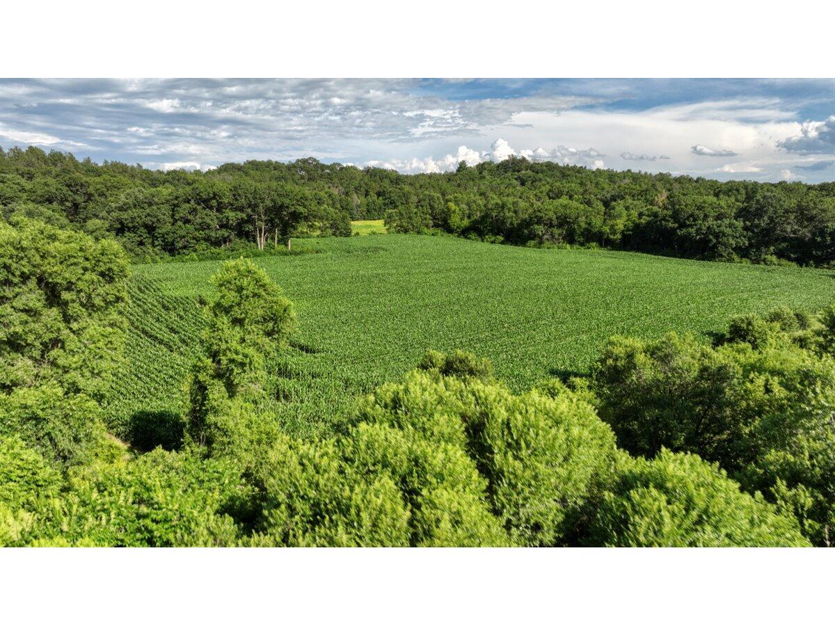 0 Hammer Sparta WI 54656 1926072 image41