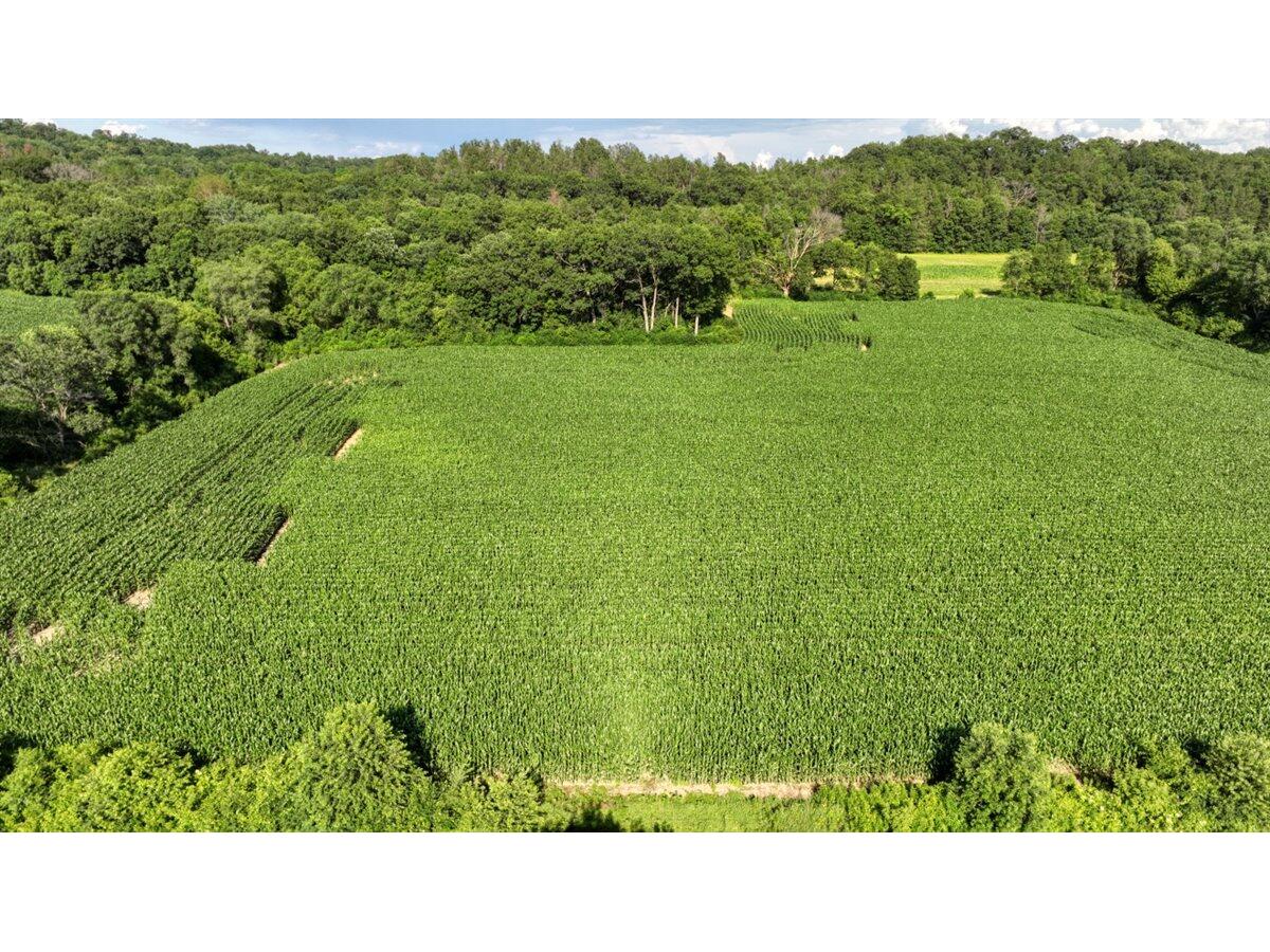 0 Hammer Sparta WI 54656 1926072 image43