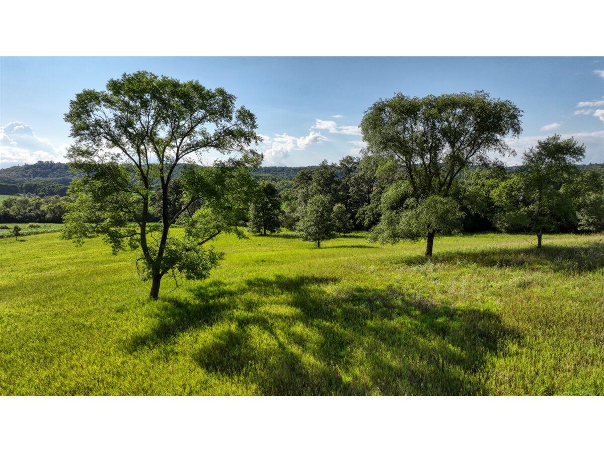 0 Hammer Sparta WI 54656 1926072 image49