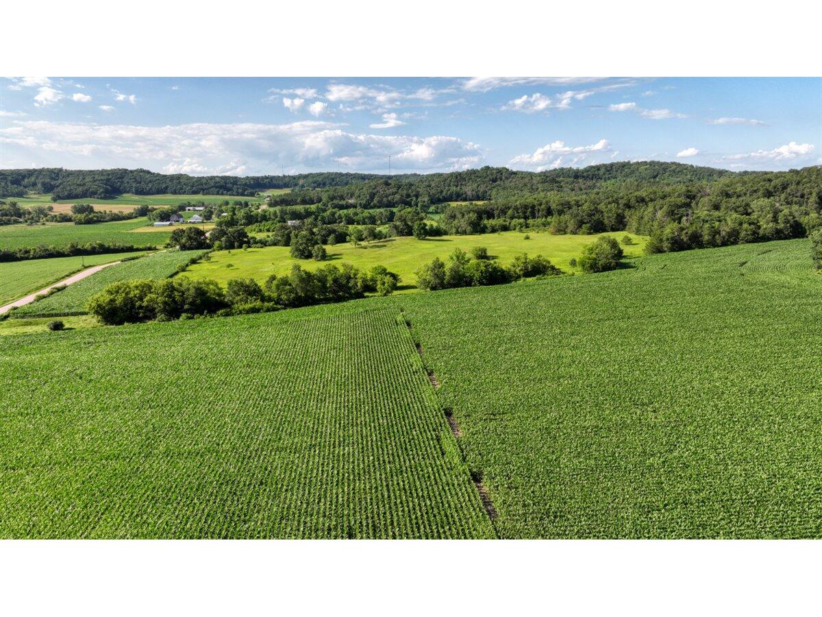 0 Hammer Sparta WI 54656 1926072 image51