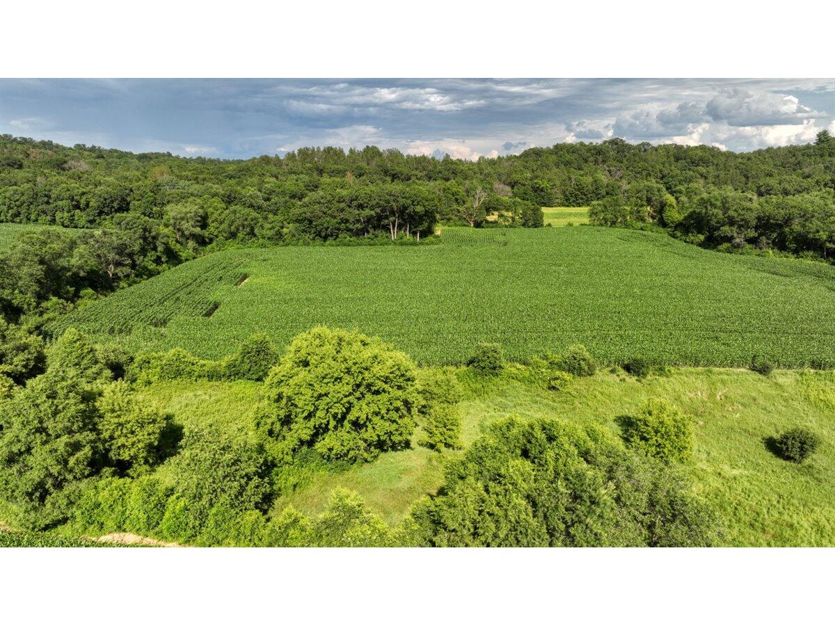 0 Hammer Sparta WI 54656 1926072 image6