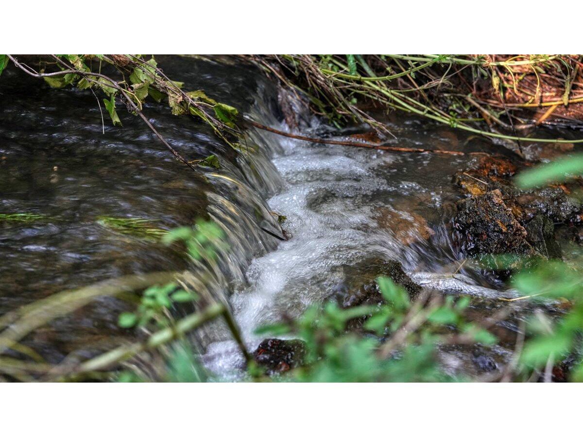 0 Hammer Sparta WI 54656 1926072 image60