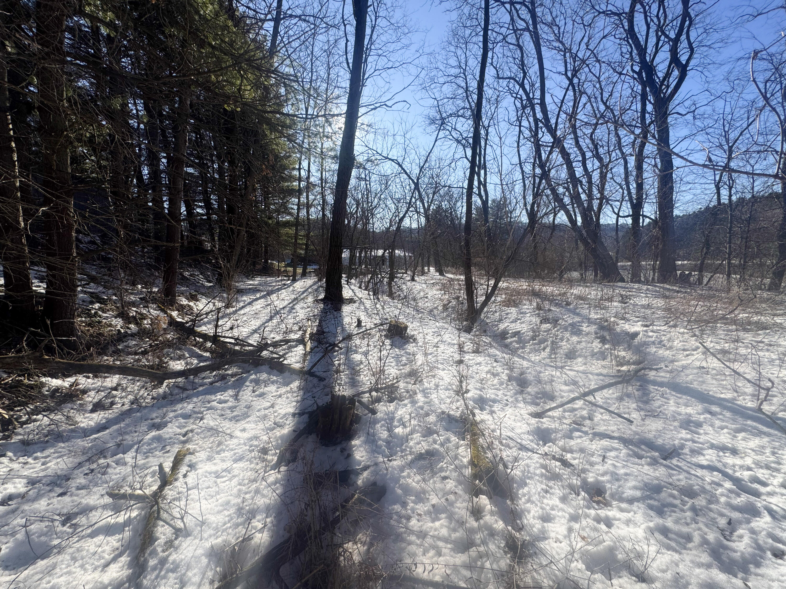 0 Hwy 95 Arcadia WI 54612 1947735 image21