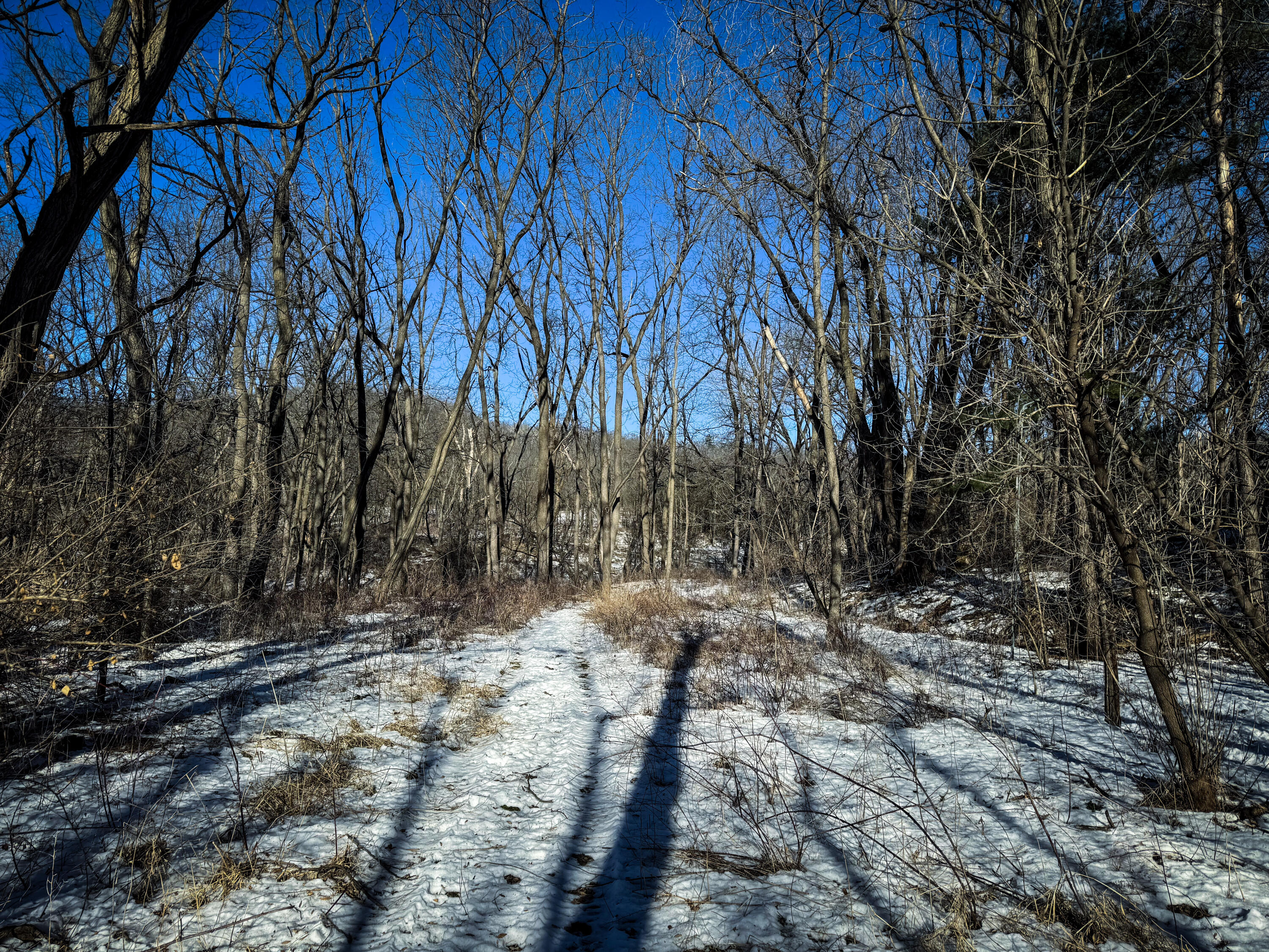 0 Hwy 95 Arcadia WI 54612 1947735 image22