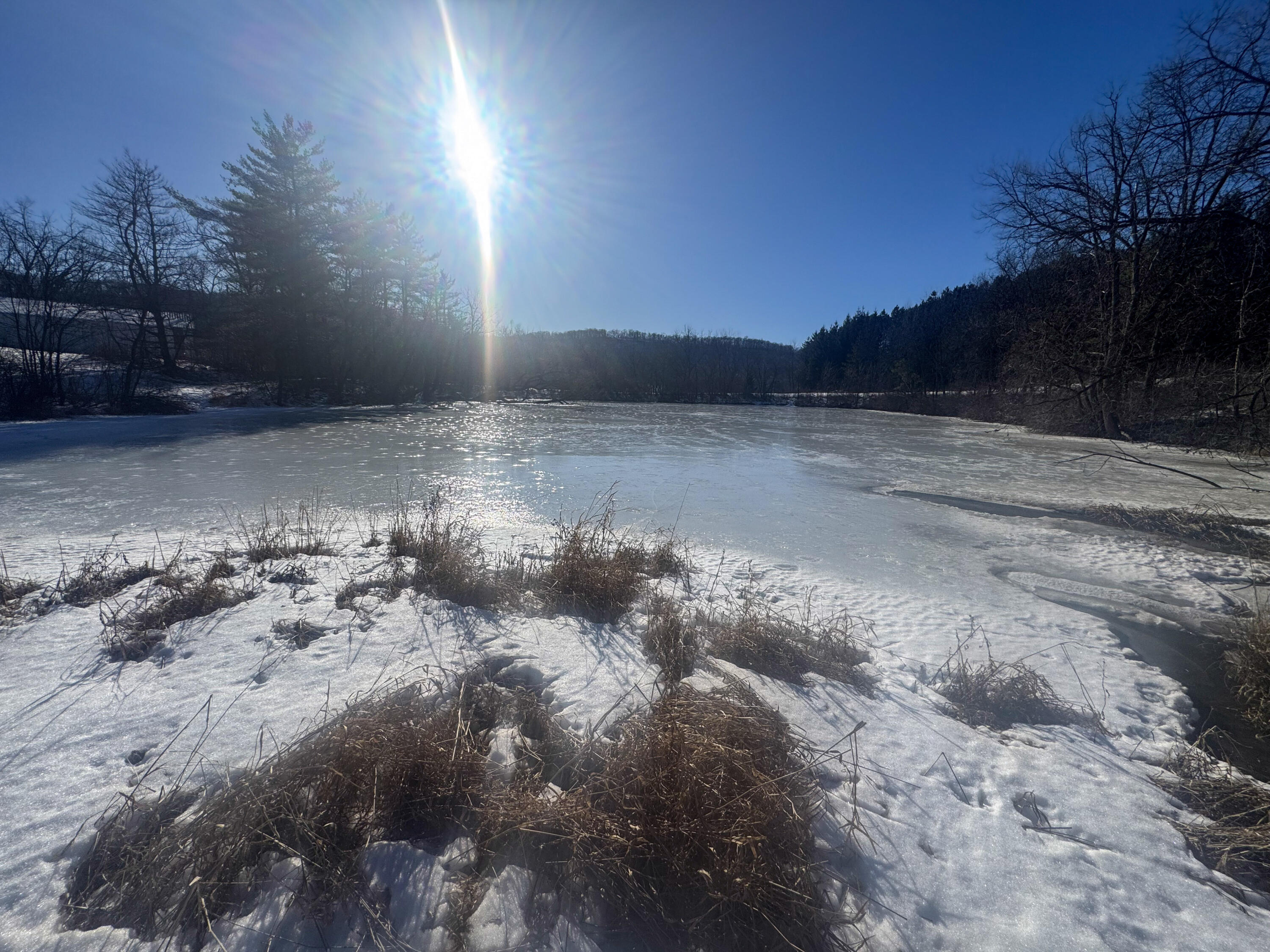 0 Hwy 95 Arcadia WI 54612 1947735 image24