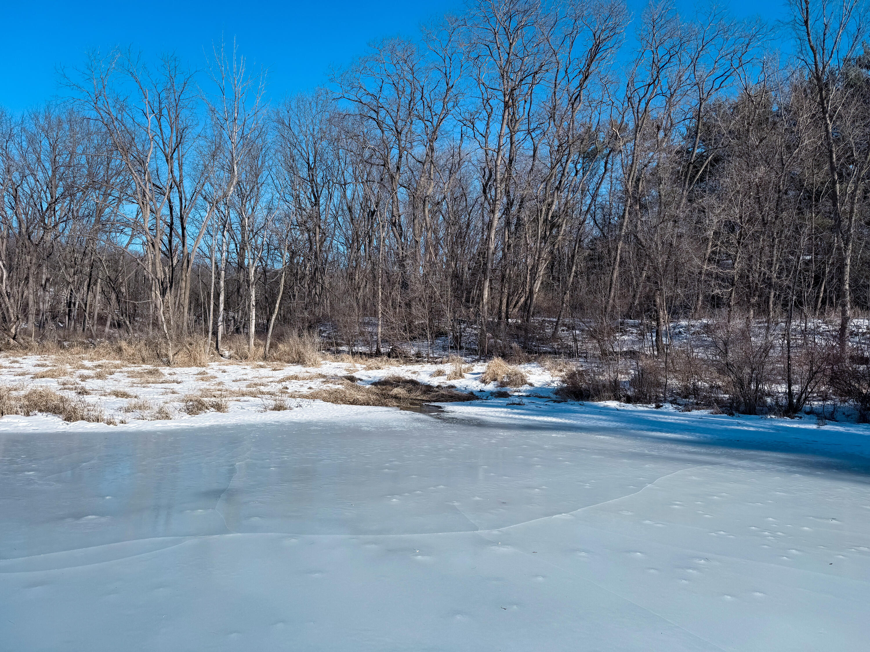 0 Hwy 95 Arcadia WI 54612 1947735 image3