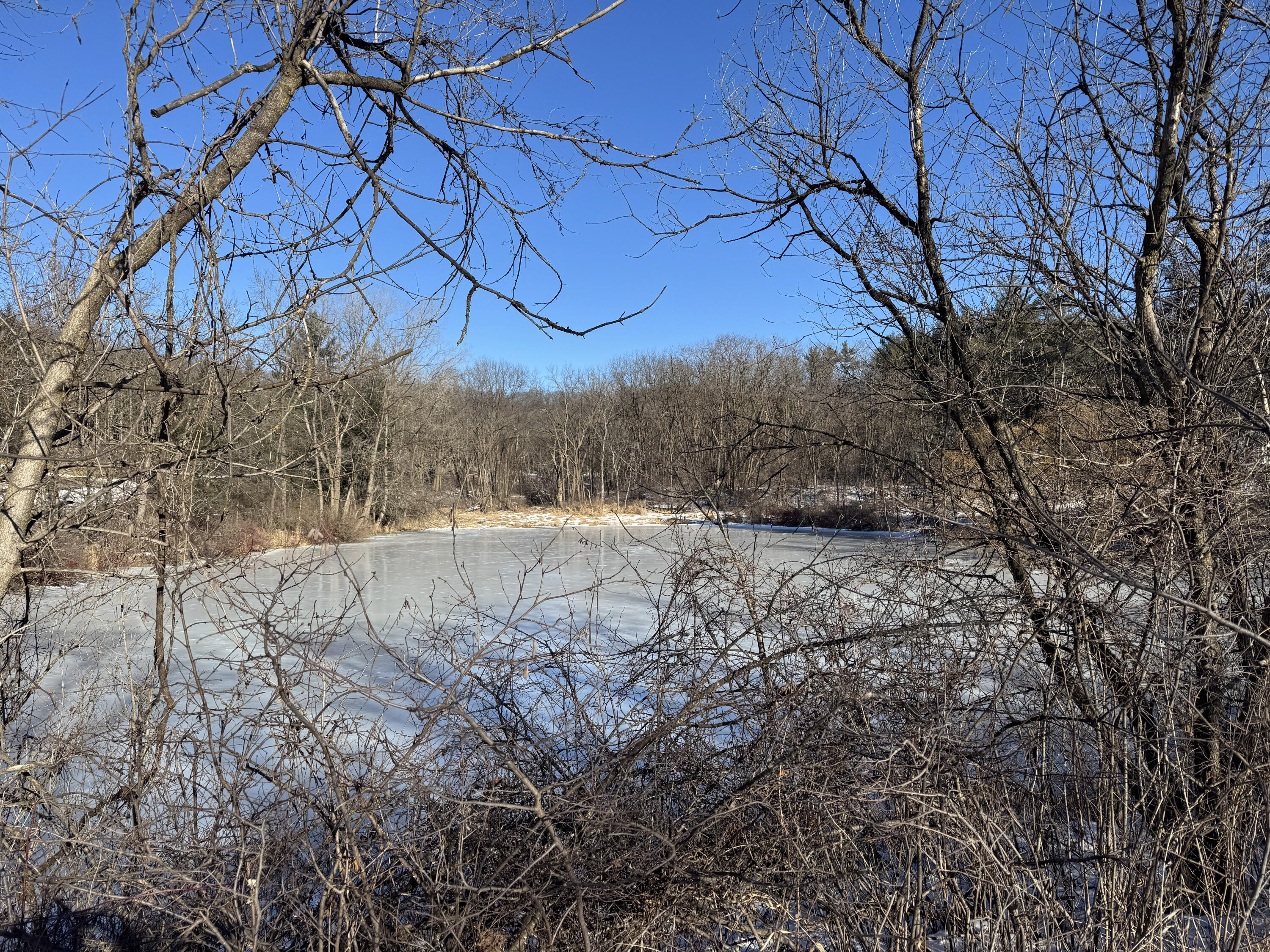 0 Hwy 95 Arcadia WI 54612 1947735 image7