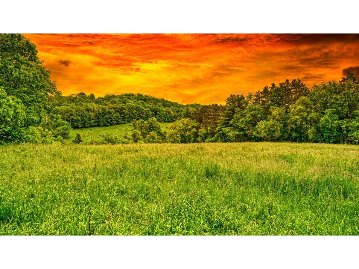 0 Kermit Ridgeville WI 54648 1877260 image1