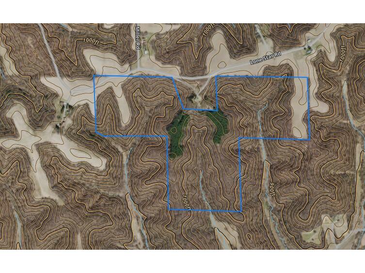 0 Lone Star Ettrick WI 54616 1939109 image1