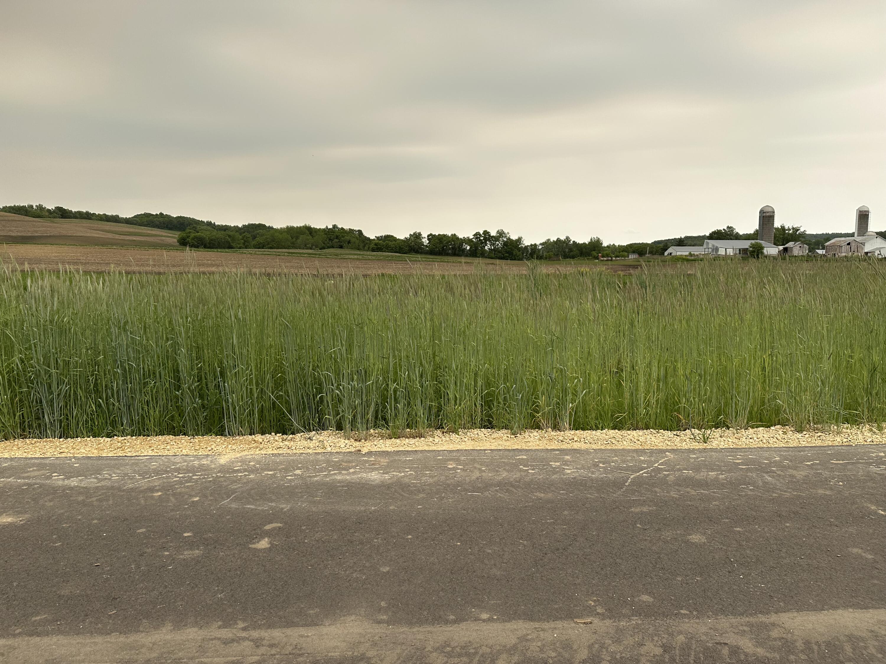 0 Lot 5 Twin Creeks Barre WI 54601 1919989 image1