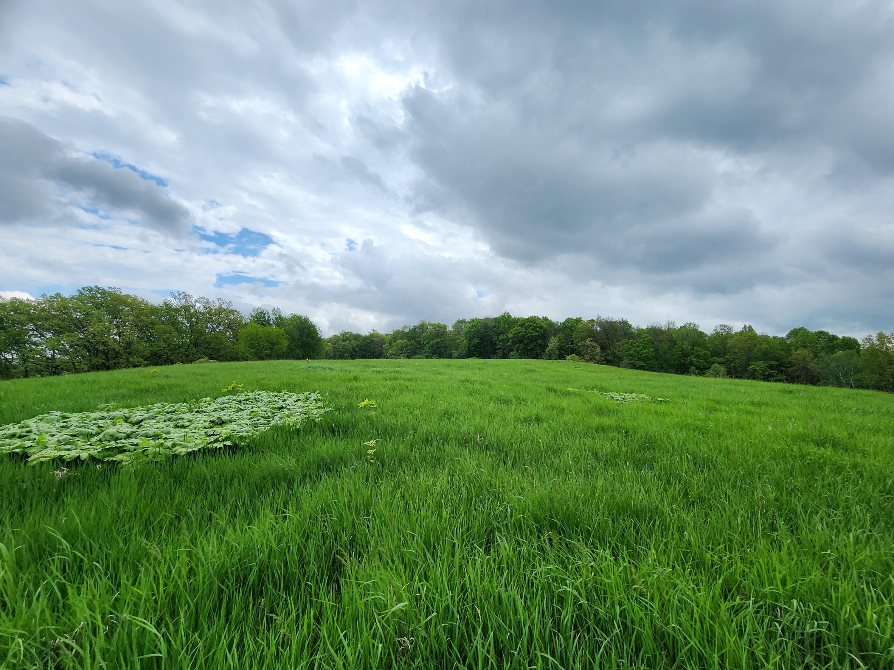 0 Market Portland WI 54619 1876127 image1