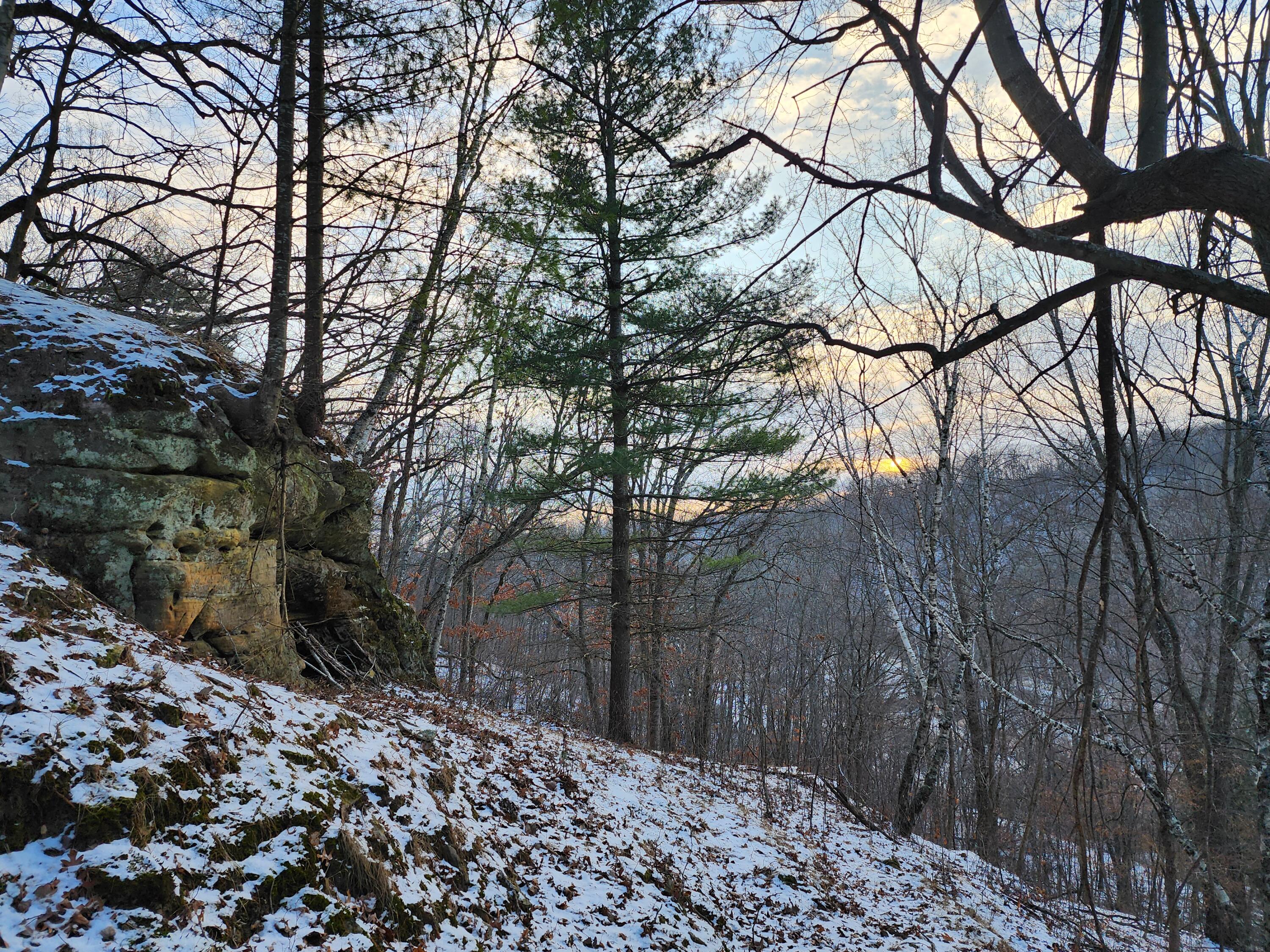 0 Munson Stark WI 54639 1905182 image1